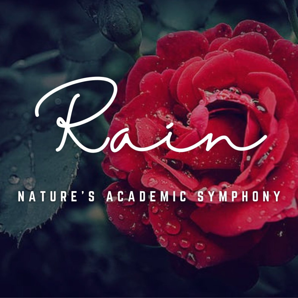 Focused Hours in Rain
