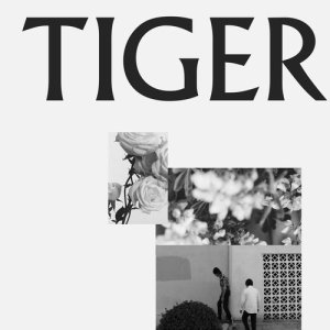ดาวน์โหลดและฟังเพลง Tiger พร้อมเนื้อเพลงจาก The Gloomies