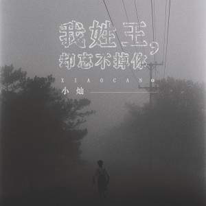 收聽空的我姓王，卻忘不掉你歌詞歌曲