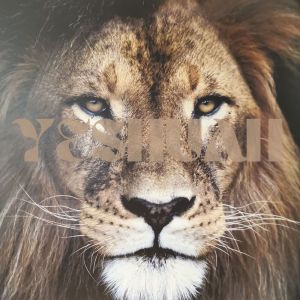 收听Liam Serenestar的Soaking Worship YESHUAH歌词歌曲