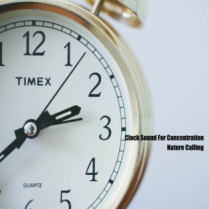 Listen to 집중력에 좋은 시계 초침소리 Clock Sound For Concentration song with lyrics from 네이쳐콜링