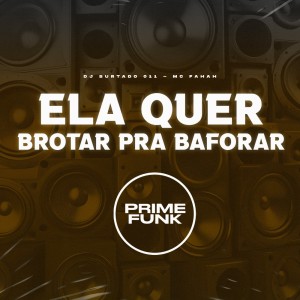 Listen to Ela Quer Brotar pra Baforar (Explicit) song with lyrics from DJ Surtado 011