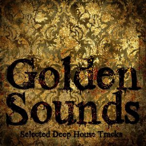 ดาวน์โหลดและฟังเพลง Liquid Sound (Basement Mix) พร้อมเนื้อเพลงจาก Sander Parin