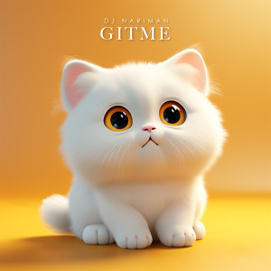 Album Gitme oleh Dj Nariman