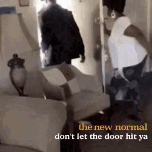 The New Normal的專輯Don't Let the Door Hit Ya