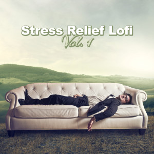 Album Stress Relief LoFi, Vol. 1 from Various Artists