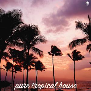 Various Artists的專輯Pure Tropical House