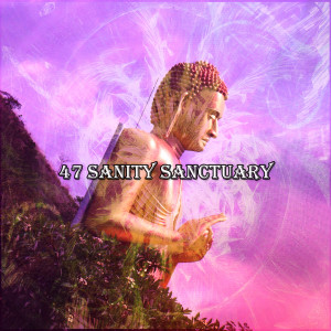 อัลบัม 47 Sanity Sanctuary ศิลปิน Zen Meditation and Natural White Noise and New Age Deep Massage