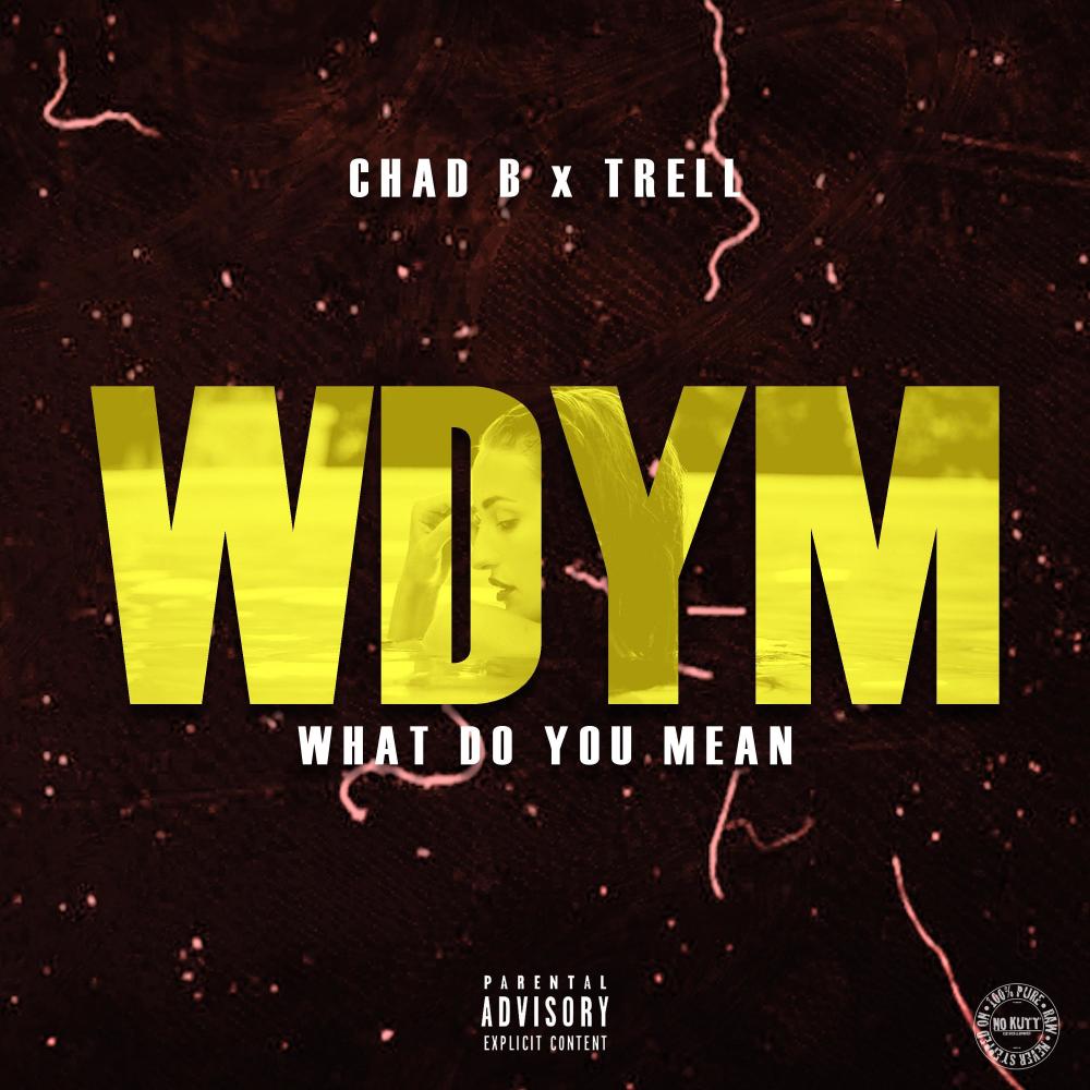 what do you mean [WDYM] (Explicit)