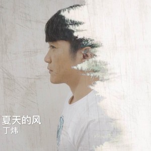 Album 夏天的风 from 丁炜