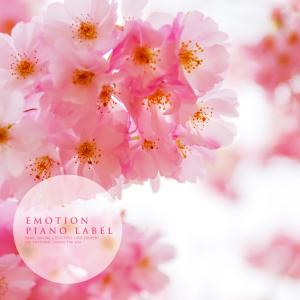 Various Artists的專輯Warm Spring Love Feelings