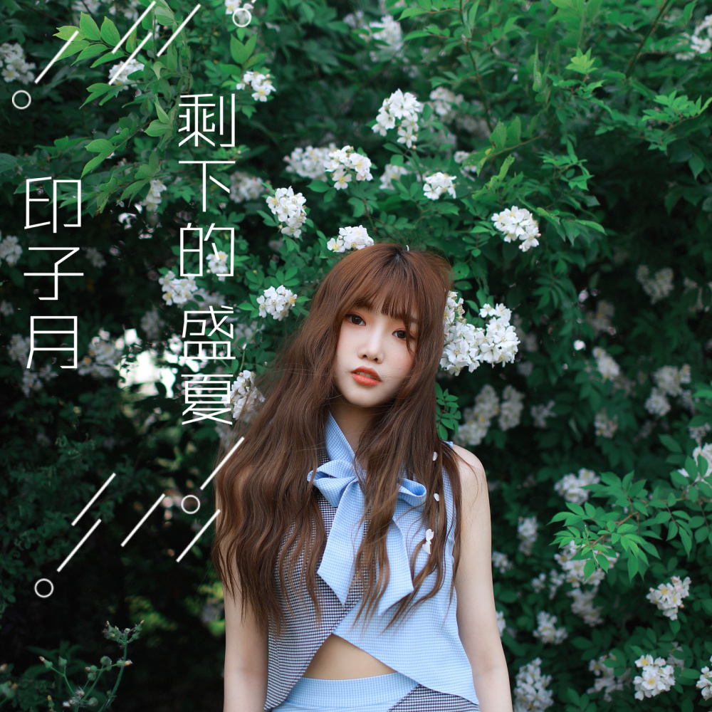 剩下的盛夏 (伴奏)