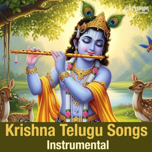 Pramod Umapathi的專輯Krishna Telugu Songs (Instrumental)