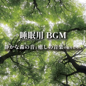 Listen to Leaf Part5 (feat. sorateras) song with lyrics from ALL BGM CHANNEL