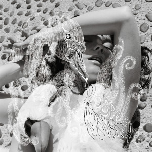 ดาวน์โหลดและฟังเพลง An Echo A Stain พร้อมเนื้อเพลงจาก Björk