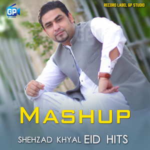 อัลบัม Mashup ศิลปิน Shehzad Khyal