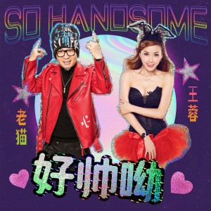 收聽老貓的好帥呦歌詞歌曲