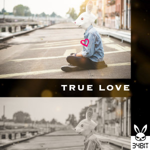 Listen to True Love song with lyrics from 34bit