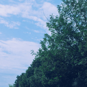 ดาวน์โหลดและฟังเพลง 安然入睡 (治愈纯音乐) พร้อมเนื้อเพลงจาก 疗愈音律