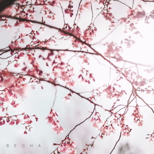 Album ВЕСНА from shoooonya