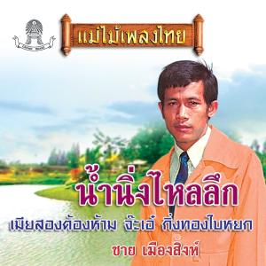 ดาวน์โหลดและฟังเพลง หนุ่มปักษ์ใต้ พร้อมเนื้อเพลงจาก ชาย เมืองสิงห์