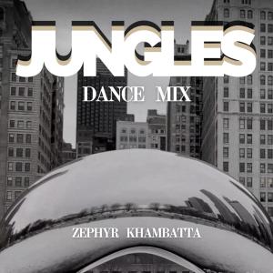 Zephyr Khambatta的专辑Jungles (Dance Mix)