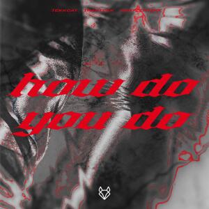 TEKKCAT的专辑How Do You Do (HardTekk)