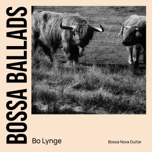 收聽Bo Lynge的Autumn Leaves歌詞歌曲