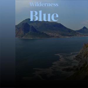 Album Wilderness Blue from Various