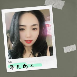 Album 平凡的人 oleh 李玫