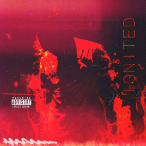 Listen to Levels (Explicit) song with lyrics from Flame Hussein