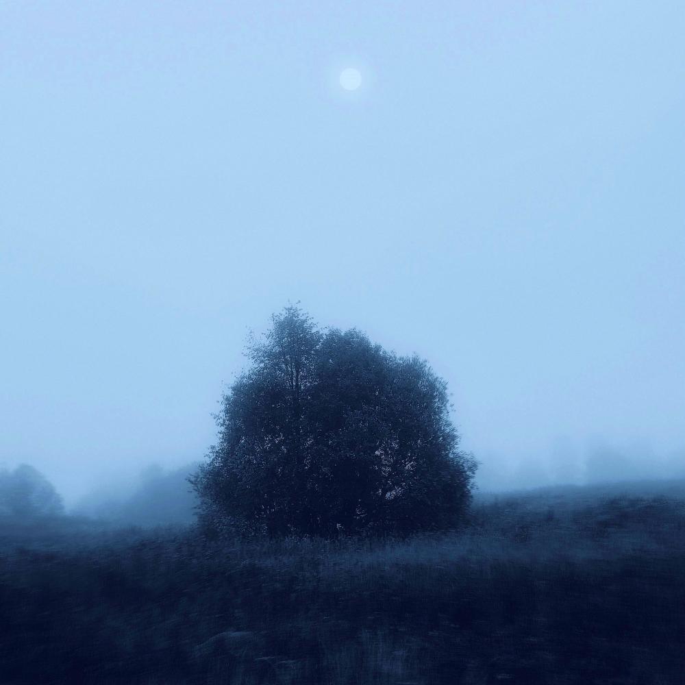 make it through the night