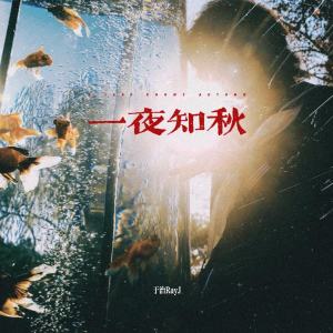 Listen to 一夜知秋 song with lyrics from 于治RayJ