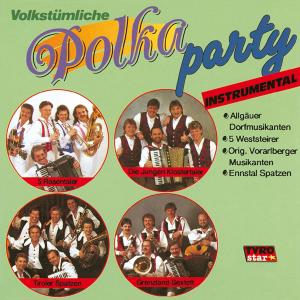 Listen to Stoadlfest-Polka song with lyrics from Die 5 Weststeirer