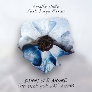 Aniello Misto的專輯Dimmi s'è amore (Me dice que hay amor)