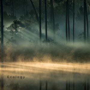 Album Ecology from 