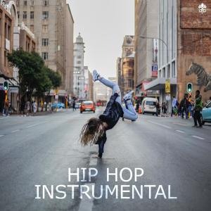 Album Hip Hop Instrumentals from Various