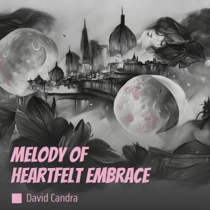 Album Melody of Heartfelt Embrace oleh David Candra