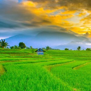 ดาวน์โหลดและฟังเพลง Qorrib Minni X Albi Nadak พร้อมเนื้อเพลงจาก kalam senja