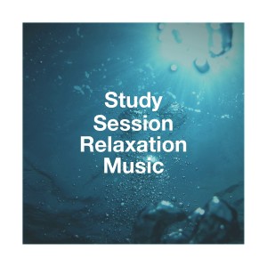 อัลบัม Study Session Relaxation Music ศิลปิน Chinese Relaxation and Meditation