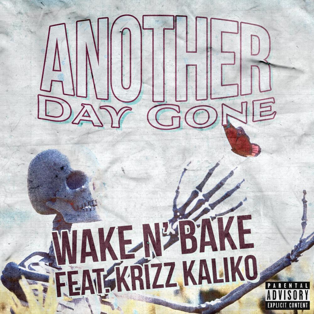 Another Day Gone (feat. Krizz Kaliko) (Explicit)
