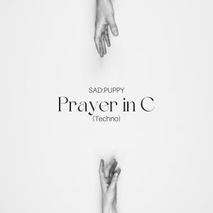 Album Prayer in C (Techno) oleh Sad Puppy