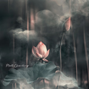 Matt Chanting的專輯Where the Healing Begins