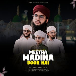 Album Meetha Madina Door Hai from Hafiz Habib Reza
