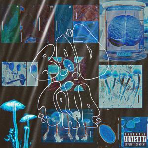 ดาวน์โหลดและฟังเพลง BAD TRIP (Explicit) พร้อมเนื้อเพลงจาก PinkHEXX