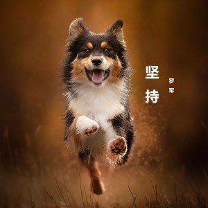 收聽羅軍的堅持歌詞歌曲