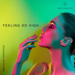 ดาวน์โหลดและฟังเพลง Feeling so High พร้อมเนื้อเพลงจาก Amr Salah Mahmoud