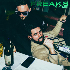 Album FREAKS (VIP MIX) from PERZZONA