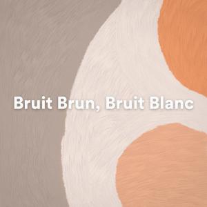 Album Bruit Brun, Bruit Blanc from 