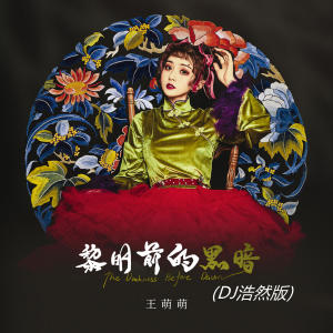 Album 黎明前的黑暗 (DJ浩然版) from 王萌萌